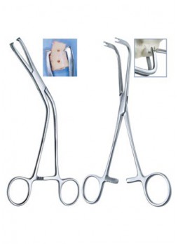 Bone Block Clamp
